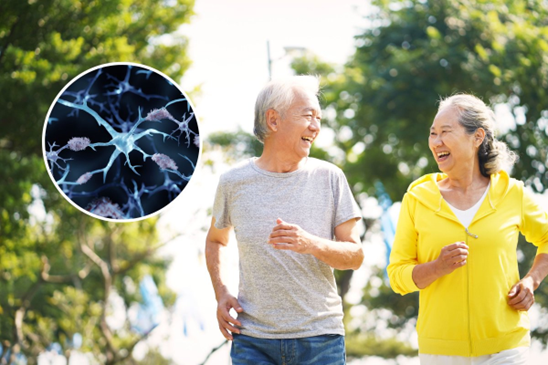 ورزش به بهبود آلزایمر کمک میکند