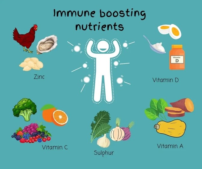 راهکارهای عملی برای تقویت روزانه سیستم ایمنی