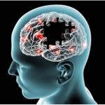 بهترین روش های درمان برای کند شدن پیشرفت بیماری آلزایمر